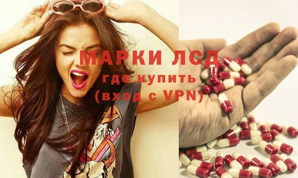 твердый Арсеньев