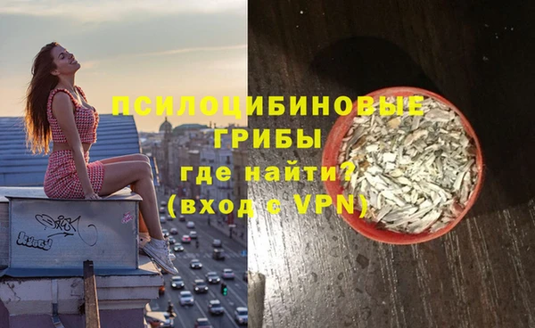 твердый Арсеньев