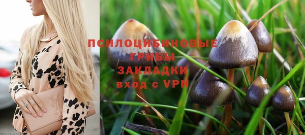 твердый Арсеньев